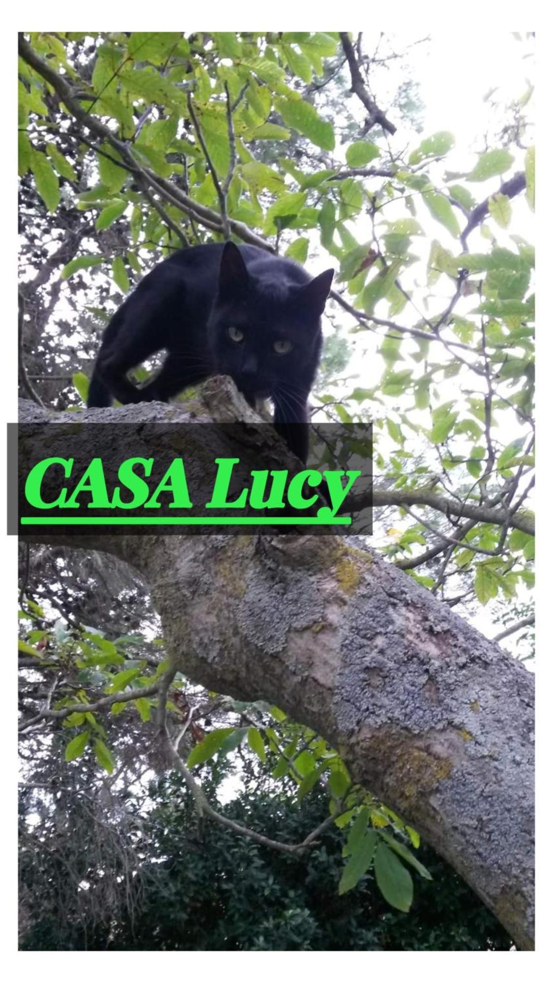 Casa Lucy Lägenhet Pitigliano Exteriör bild